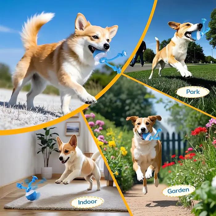 Jouet stimulant pour chien The Chase Buddy