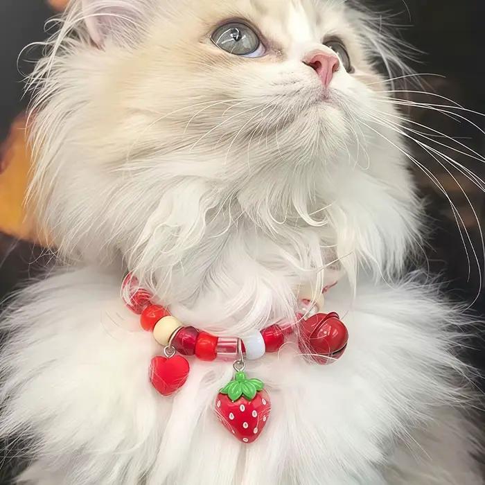 Collier pour chaton avec clochette