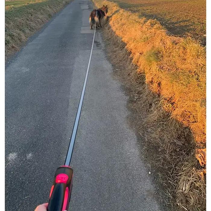 Laisse pour chien de 3m 5m 8m 50kg