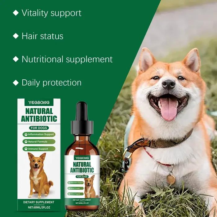 Supplément multivitaminique stimulant l'immune pour chiens