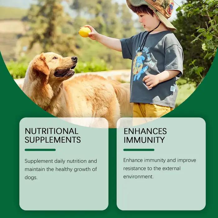 Supplément multivitaminique stimulant l'immune pour chiens