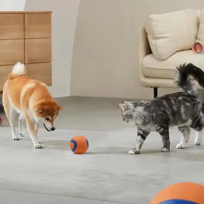 Balle de jouet pour chien