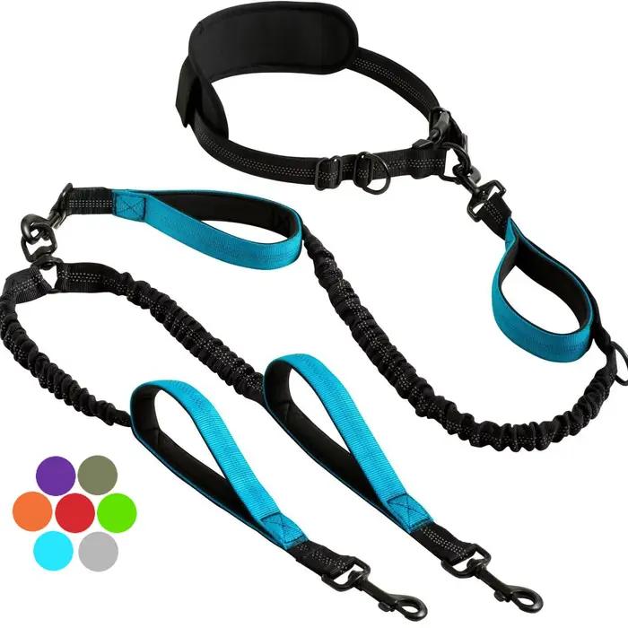 Laisse double pour chien mains libres