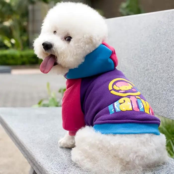 Sweat à capuche léger en coton rembourré pour chien