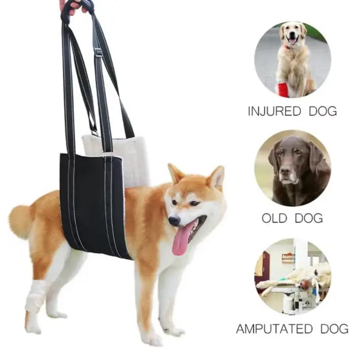Artificiel évateur réglable SFP pour chien