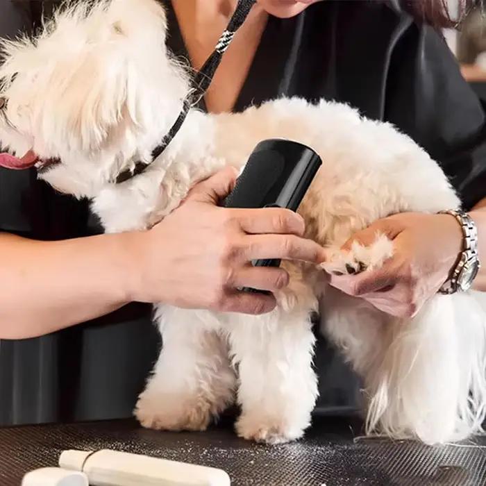 Brosse professionnelle multifonctionnelle ergonomique pour animaux de compagnie