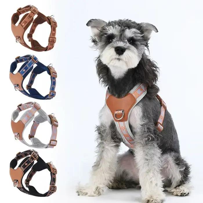 Harnais pour chien avec sangle Durable