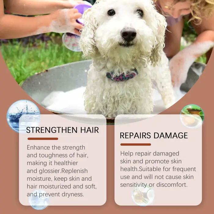 Shampoing revitalisant pour chien