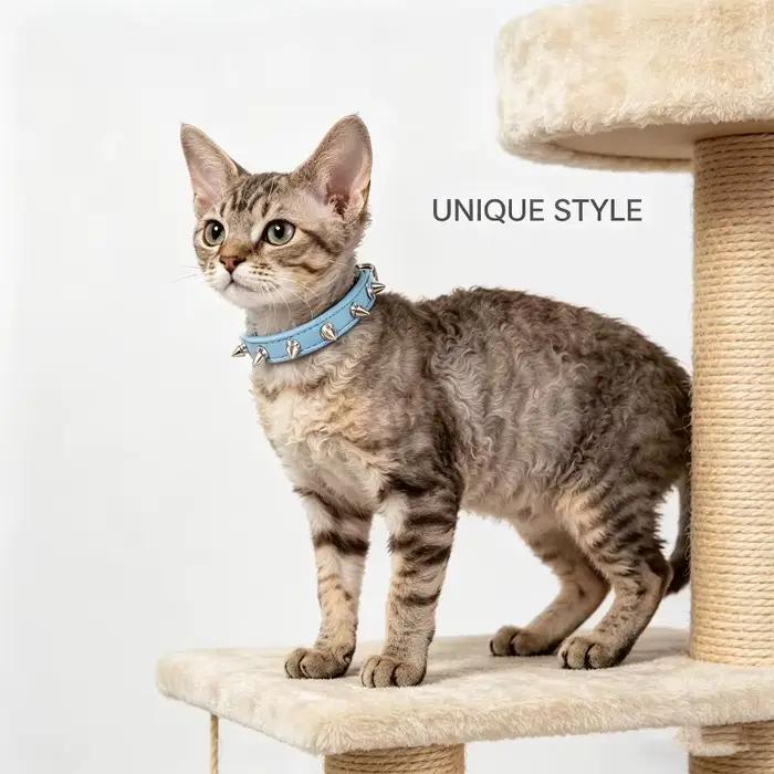 Collier pour chien en cuir clouté anti-morsure