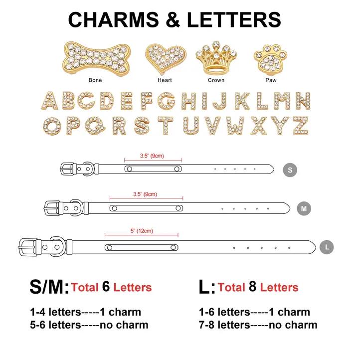 Collier en cuir personnalisé pour petits et moyens chiens