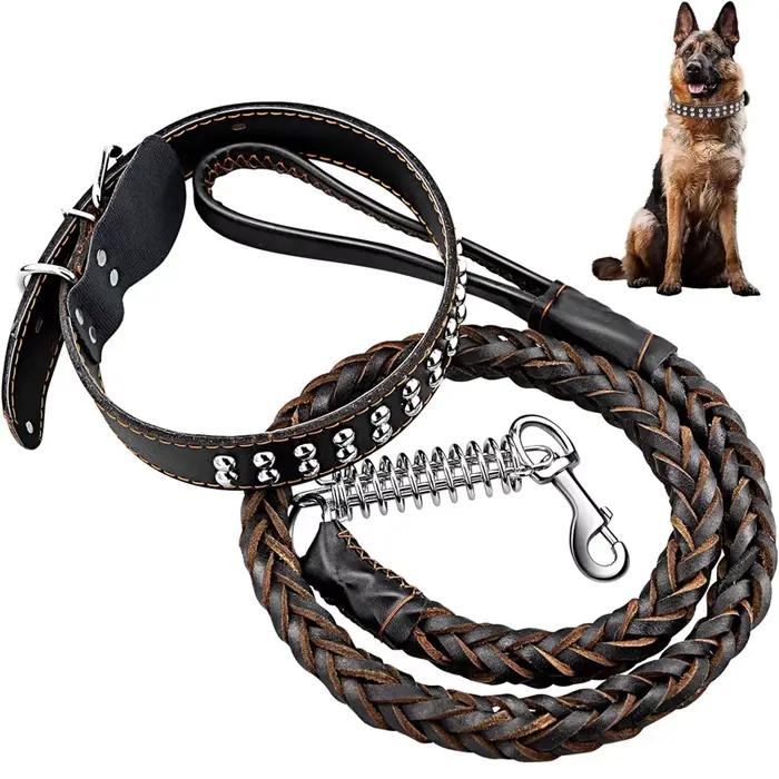 Laisse pour chien robuste et résistante