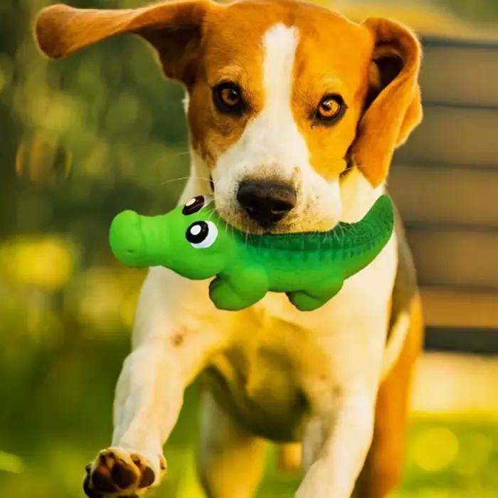 Jouet pour chien en caoutchouc crocodile qui couine