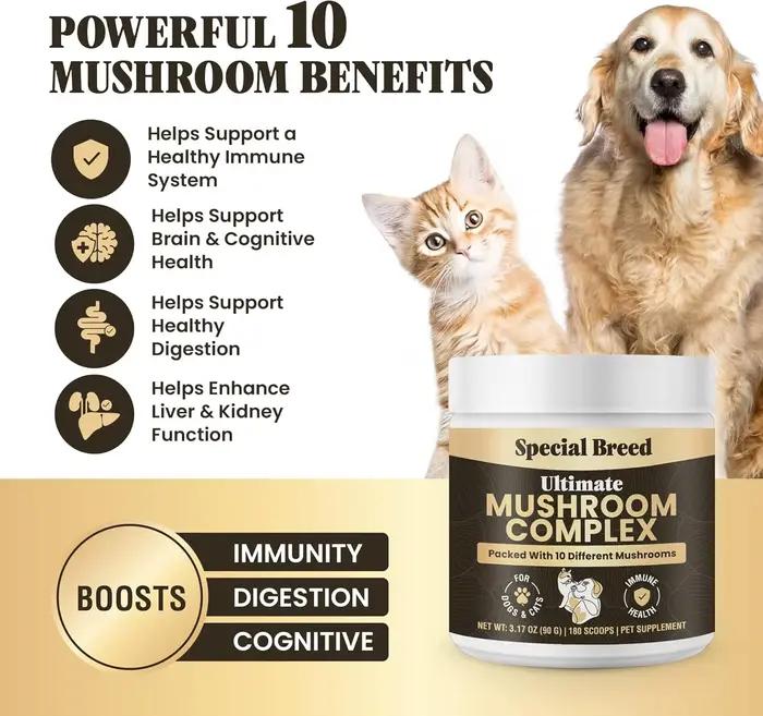 Poudre de champignons 90g pour chiens et chats