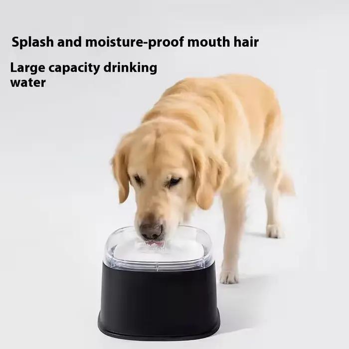 Bol d'eau flottant anti-déversement pour chats et chiens