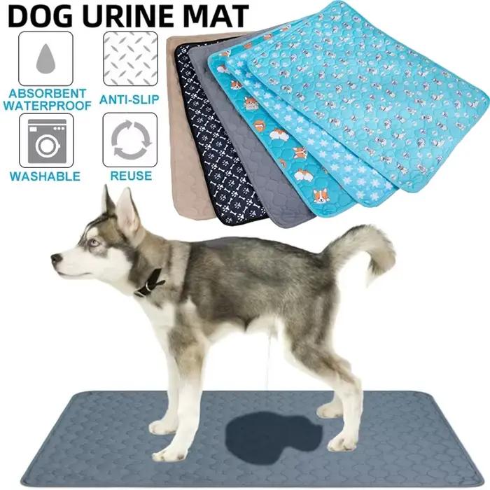 Couverture absorbante réutilisable pour chien