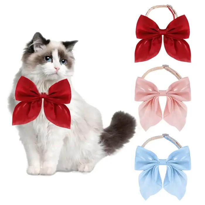 Collier pour chat réglable