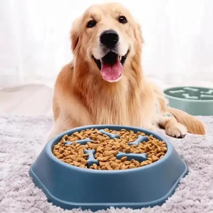 Bol pour chien Anti-étouffement bol de nourriture lente Pot d'alimentation