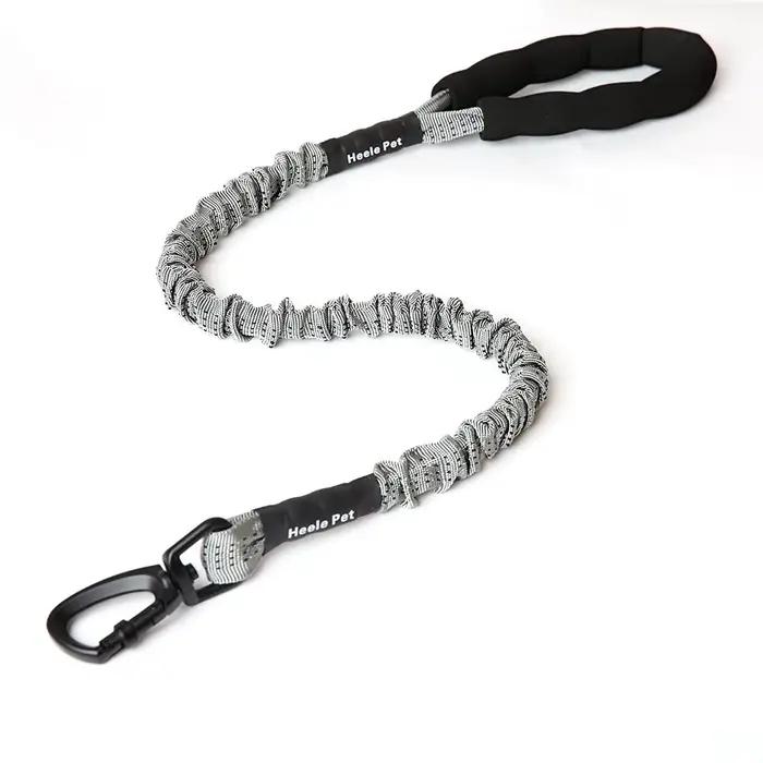 Amorti de laisse Flexible pour chien