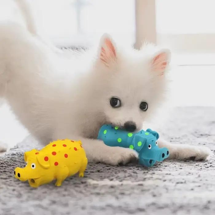Jouet pour chien en latex non toxique