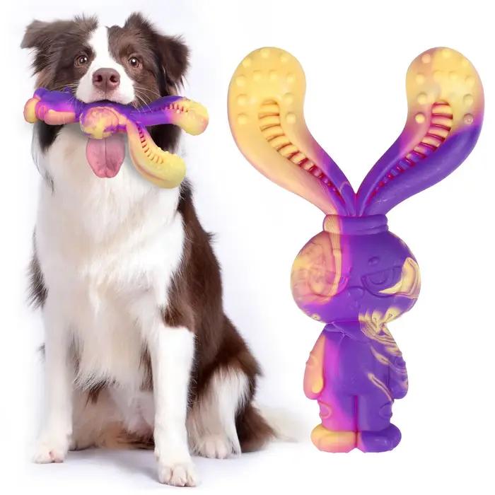 Jouets pour chiens durables