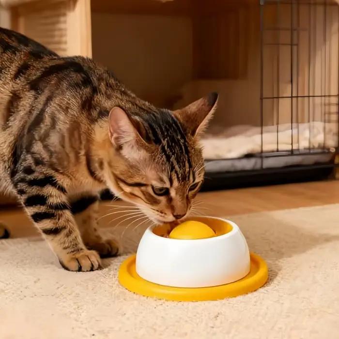 Accessoires d'alimentation pour animaux de compagnie