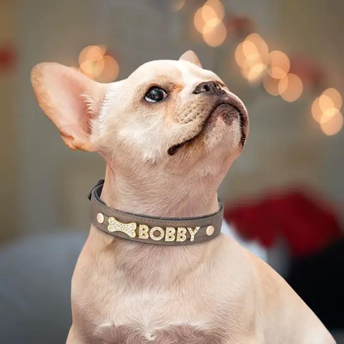 Collier en cuir personnalisé pour petits et moyens chiens