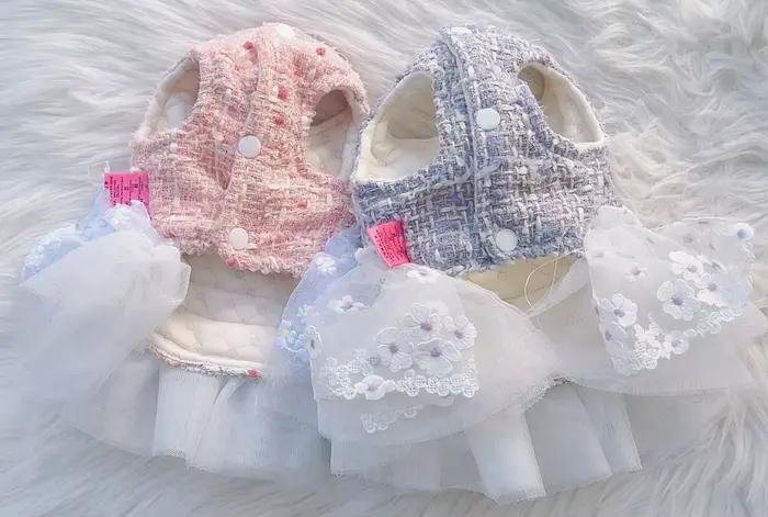 Manteau d'hiver en coton avec jupe en dentelle pour chiots