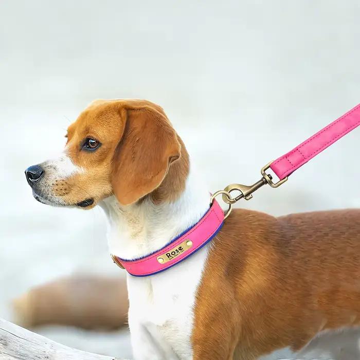 Ensemble de laisse de collier de chien en cuir personnalisé