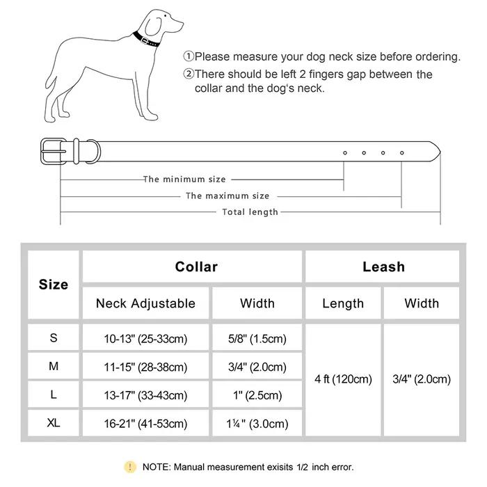 Ensemble de laisse de collier de chien rembourré doux