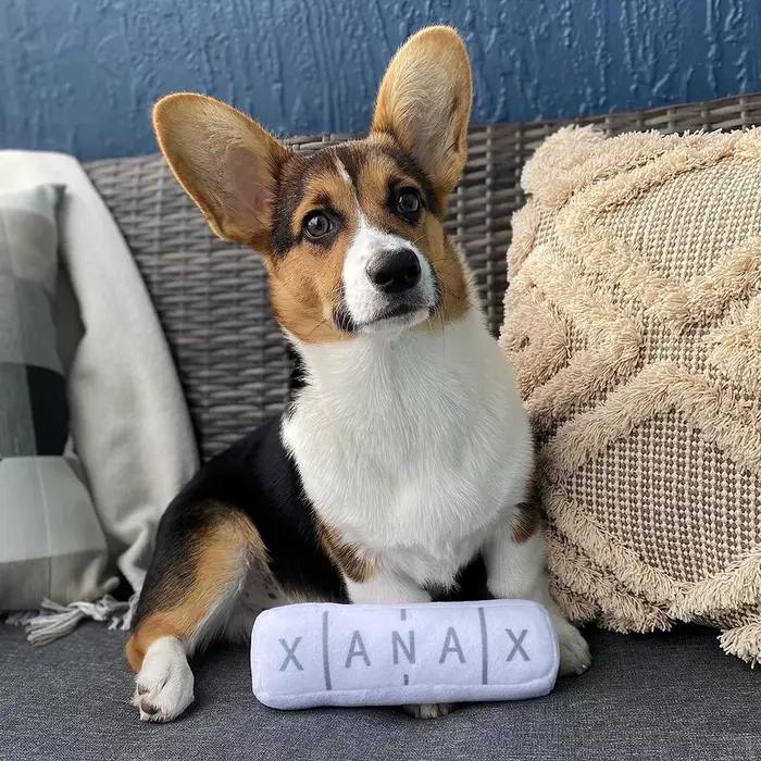 Chill Pup Jouet drôle pour chien