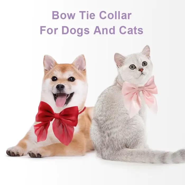 Collier pour chat réglable