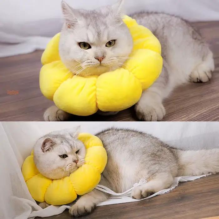 Cône UR pour chat élisabéthain mignon pour animaux de compagnie