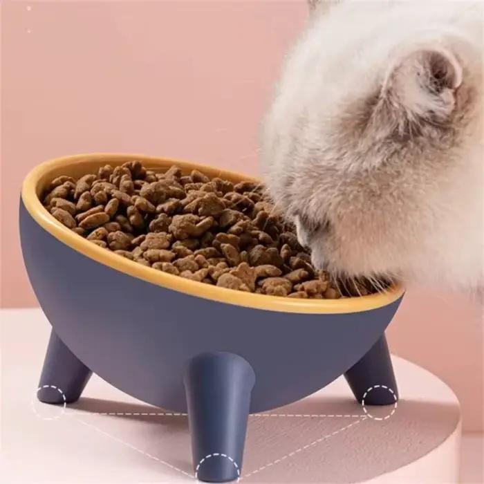 Bol antidérapant pour animaux de compagnie