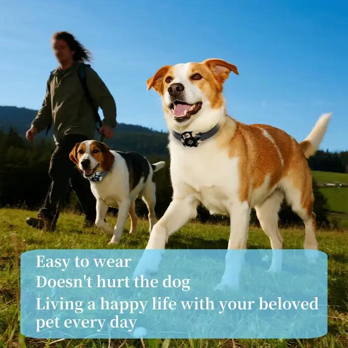 YHLC – collier de Camouflage automatique Anti-aboiement pour chien