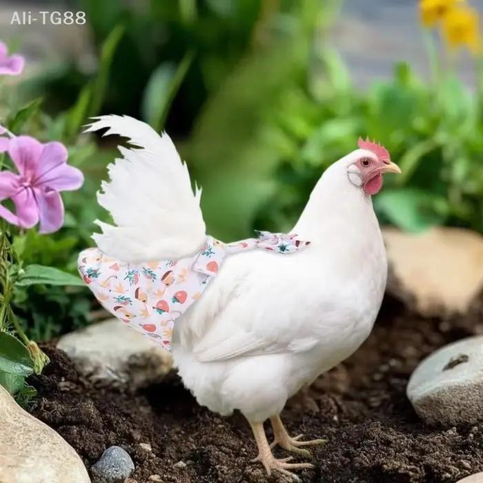 1/2 Pièces Ensemble de laisse de traction pour animaux de compagnie