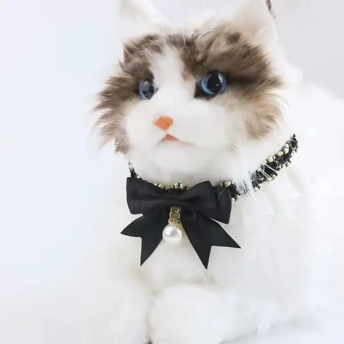 Collier pour chien et chat