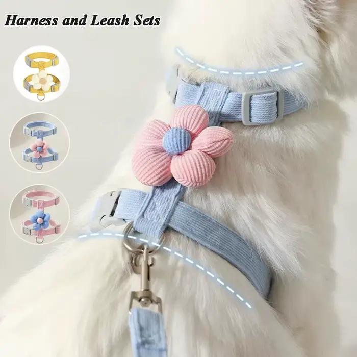 Ensembles de harnais et de laisse pour chat
