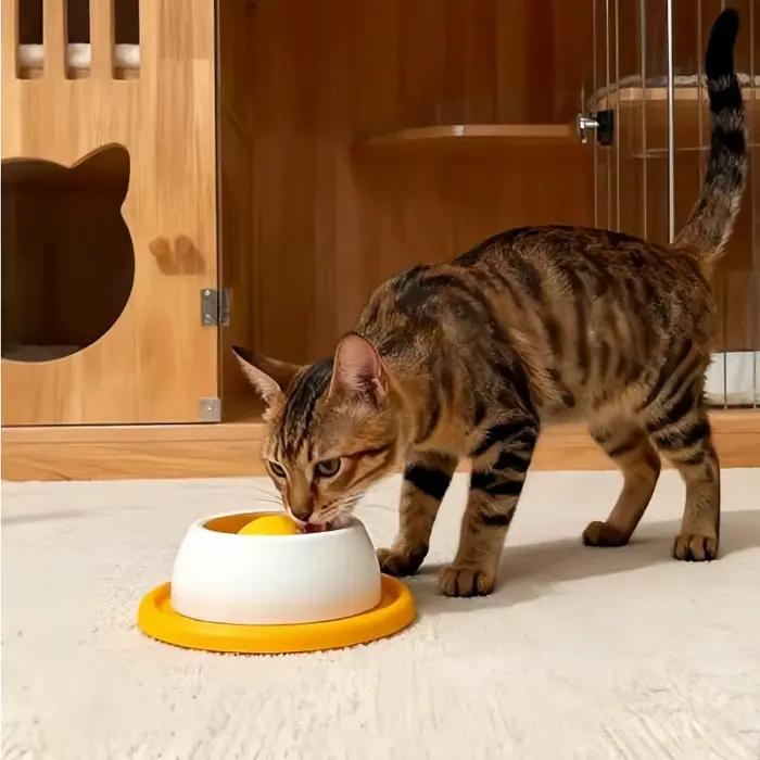 Accessoires d'alimentation pour animaux de compagnie