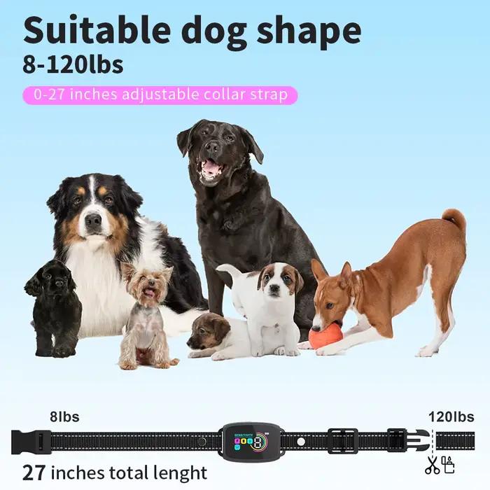 Collier de dressage automatique pour chien