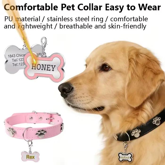 Collier pour chien gravé avec nom et numéro de téléphone