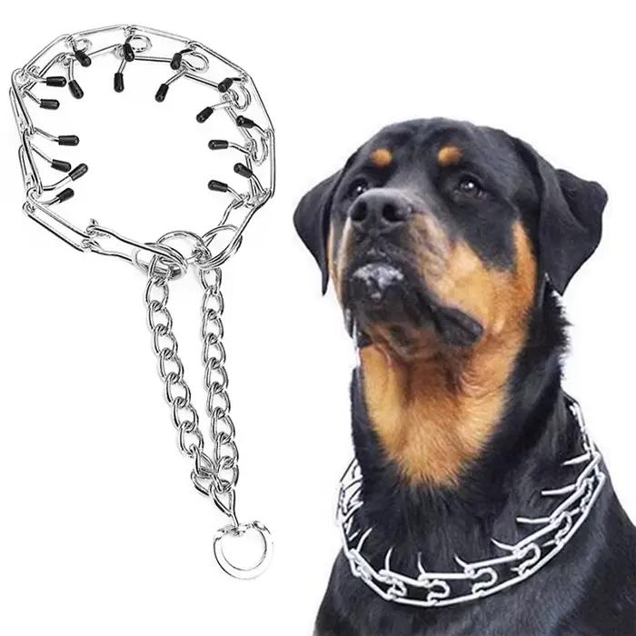 Collier de dressage à picots pour grand chien