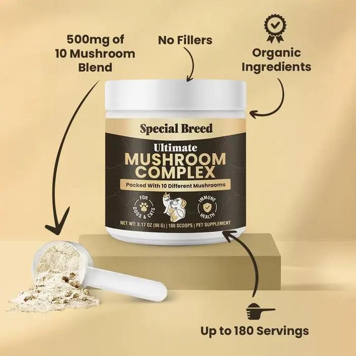 Poudre de champignons 90g pour chiens et chats