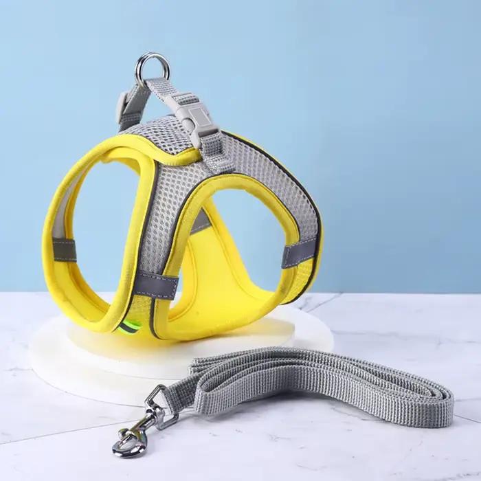 Harnais pour chien avec laisse