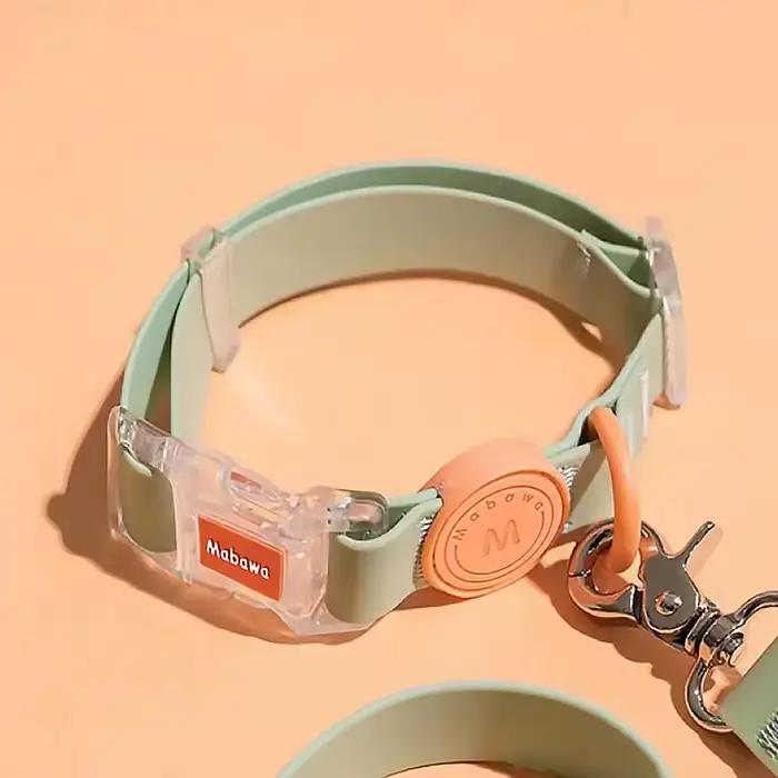 Collier de chien étanche