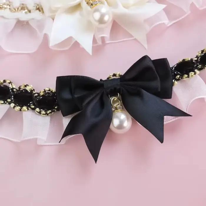Collier pour chien et chat