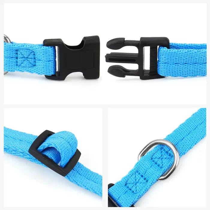 Collier pour animaux de compagnie multicolore en nylon