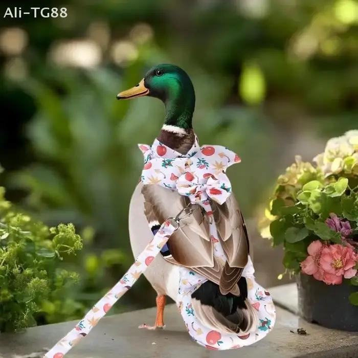1/2 Pièces Ensemble de laisse de traction pour animaux de compagnie
