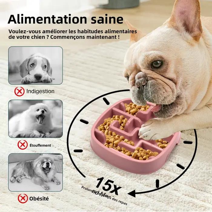 Nouveauté : Gamelles anti-étouffement pour chiens et chats – Gamelle de distribution lente pour chiots