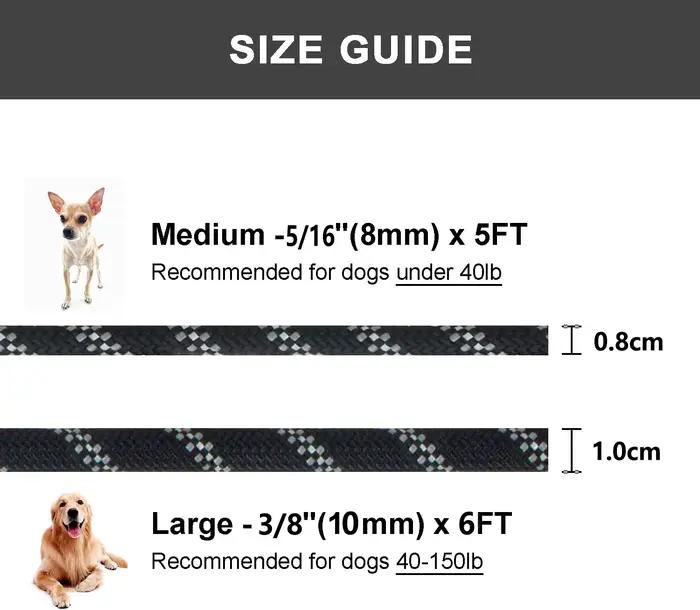 Laisse de dressage pour chien 5/6 pieds