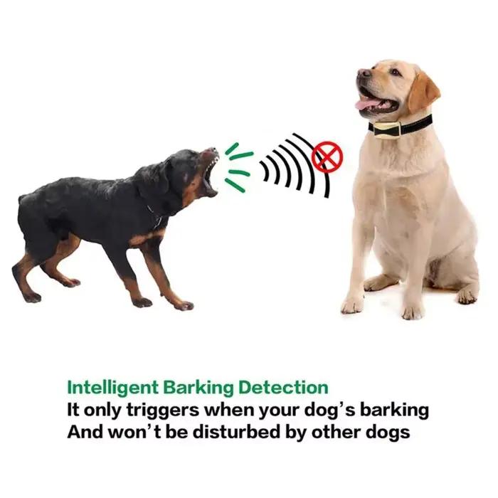 Collier anti-aboiement rechargeable Homefish pour chiens